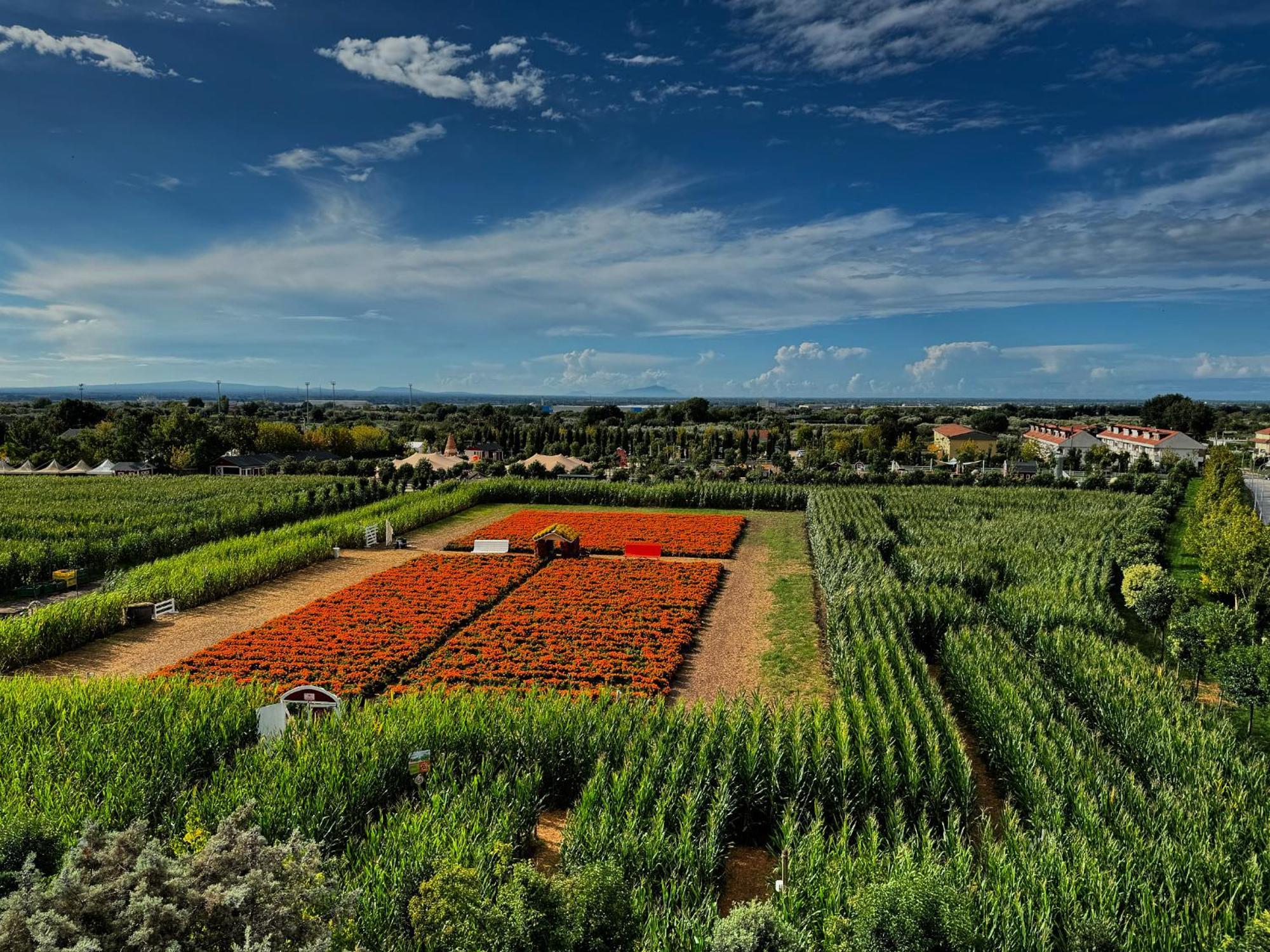 Appartamento La Rondine Pignataro Maggiore Ngoại thất bức ảnh